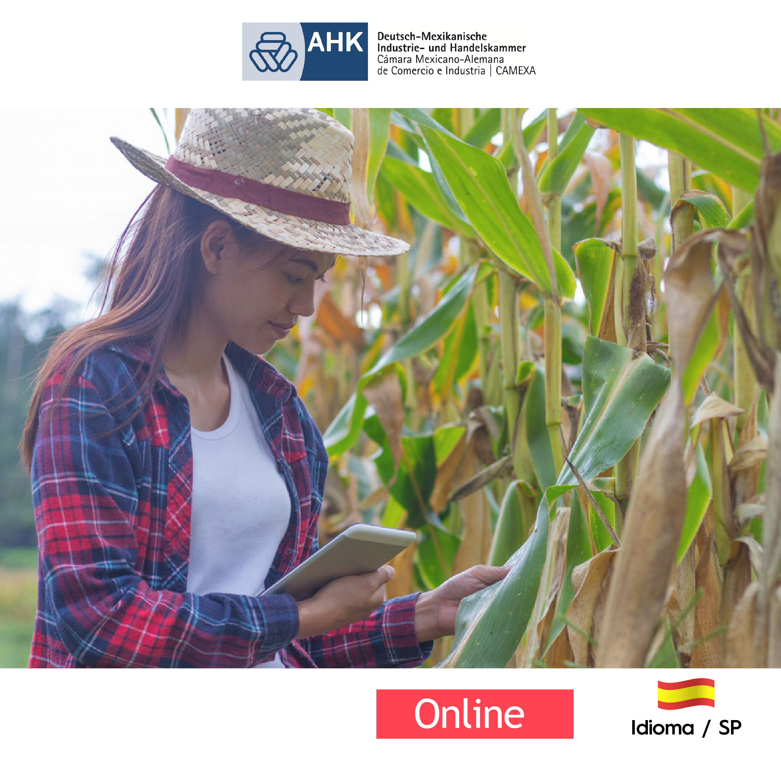 Certificado en Finanzas de Agricultura Sostenible