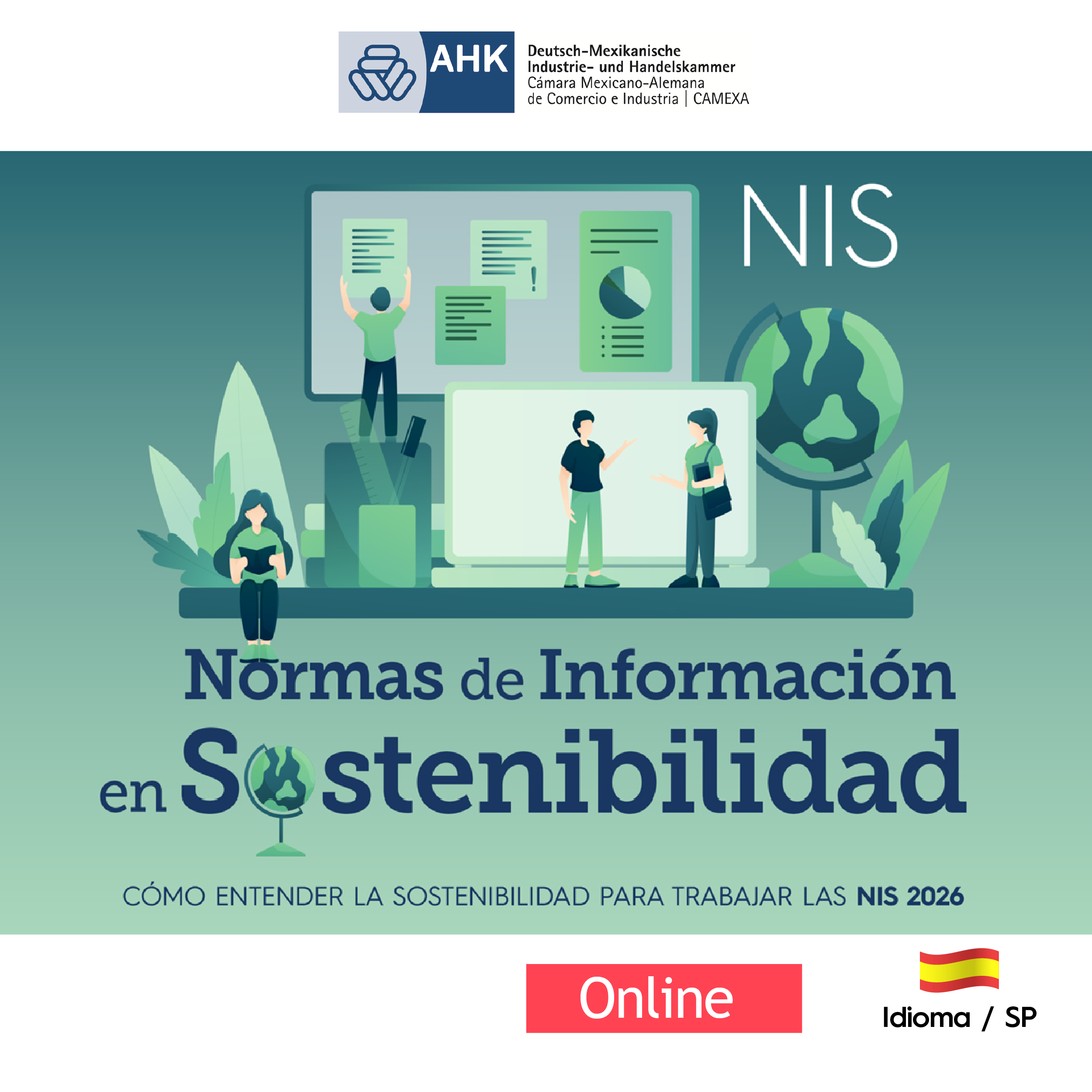 Preparación para las Normas de Contabilidad y Sostenibilidad NIIF / NIS
