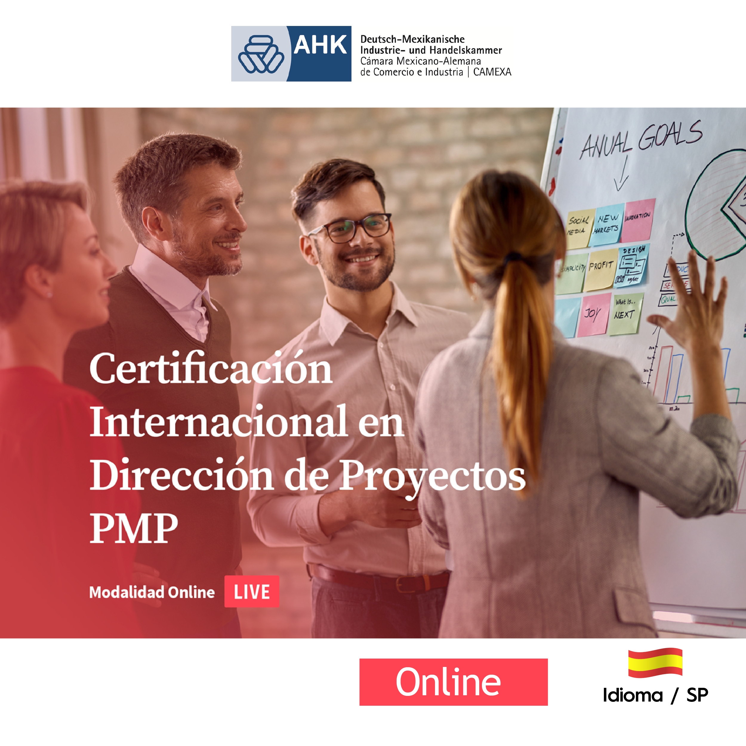 Project Management Professional - Octava Edición