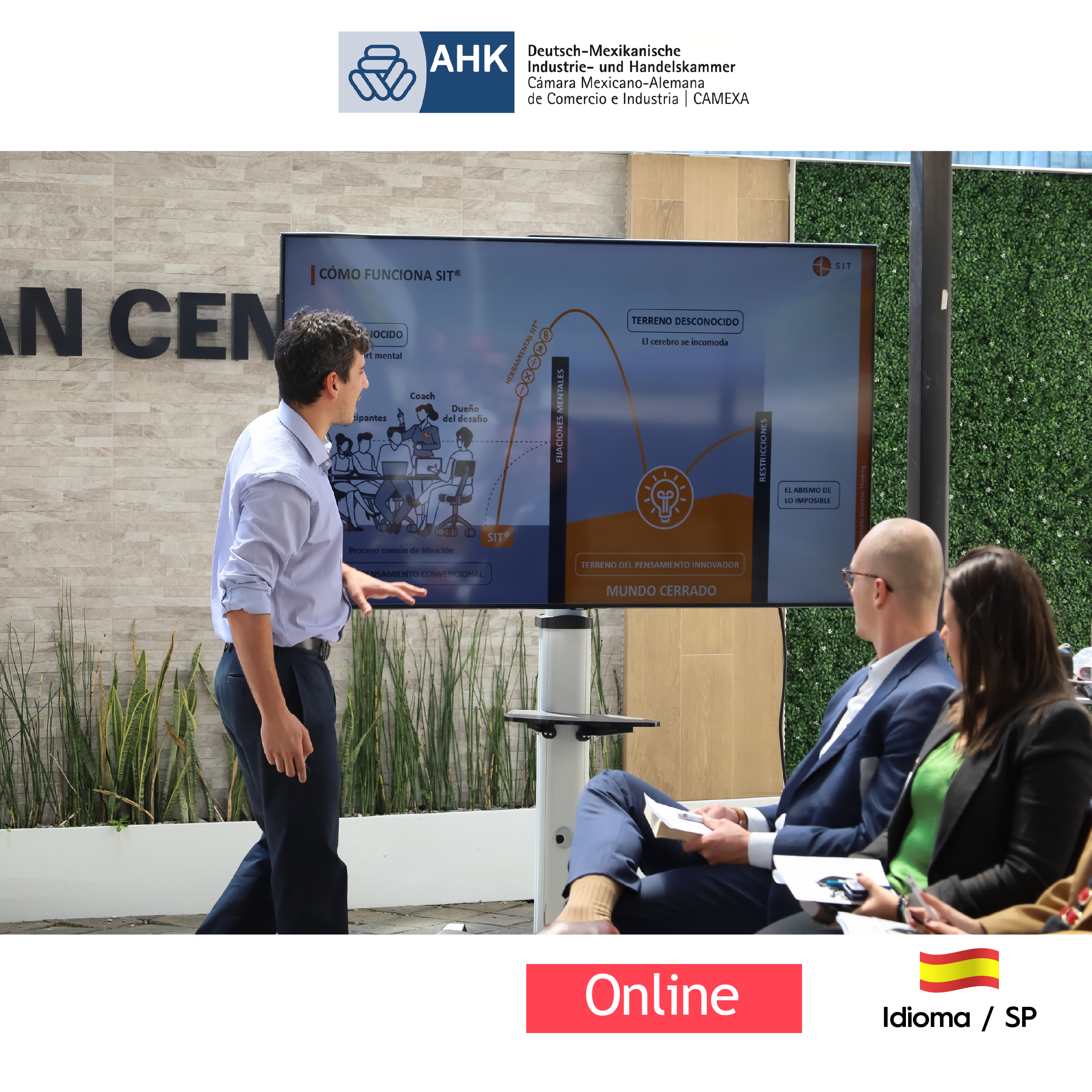 Programa de Innovación Sistemática para la Estrategia Empresarial